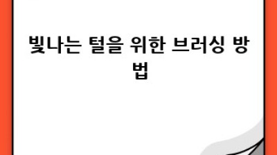 골든리트리버 빛나는 털 관리법